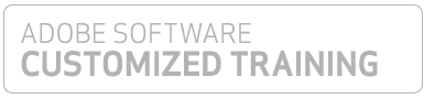 adobe software customized training